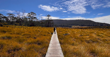 Woman hiking standing at distance on a boardwalk at Cradle Mountain National Park - Sunny beautiful day, big sky, she is wearing Bluey Merino Tasmania gear. Photo © Bluey Merino Tasmania