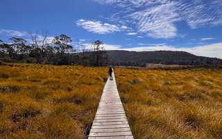 Woman hiking standing at distance on a boardwalk at Cradle Mountain National Park - Sunny beautiful day, big sky, she is wearing Bluey Merino Tasmania gear. Photo © Bluey Merino Tasmania