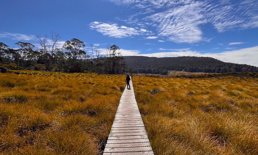 Woman hiking standing at distance on a boardwalk at Cradle Mountain National Park - Sunny beautiful day, big sky, she is wearing Bluey Merino Tasmania gear. Photo © Bluey Merino Tasmania