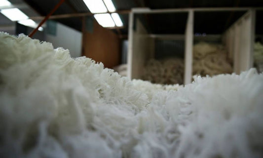Building Blockchain for Merino Wool