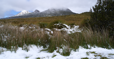 What is Winter Like in Tasmania?