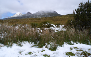 What is Winter Like in Tasmania?