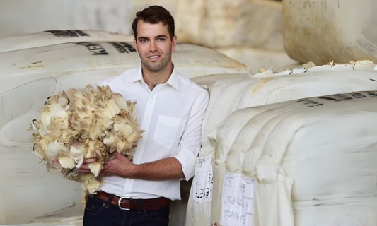 Luke Hooke's Year of Wool