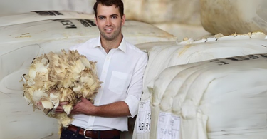 Luke Hooke's Year of Wool