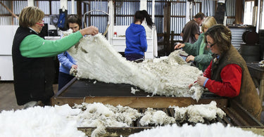 Building Blockchain for Merino Wool