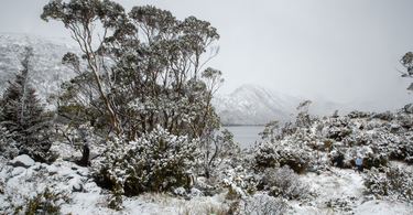 Discover Tasmania During the Off-Season