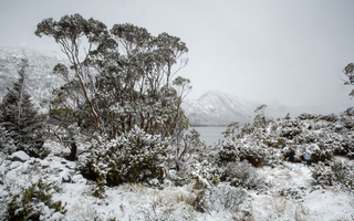 Discover Tasmania During the Off-Season