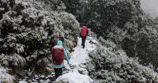 Winter Hiking this Christmas: Lessons from the Routeburn Track NZ