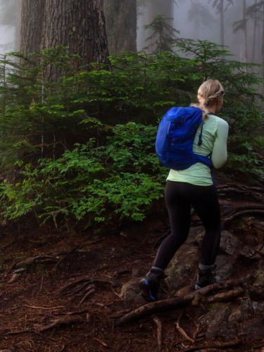 Person wearing a Merino base-layer with a blue backpack hiking through a misty forest.